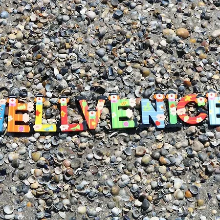 Wellvenice Ca D'Oro-3
